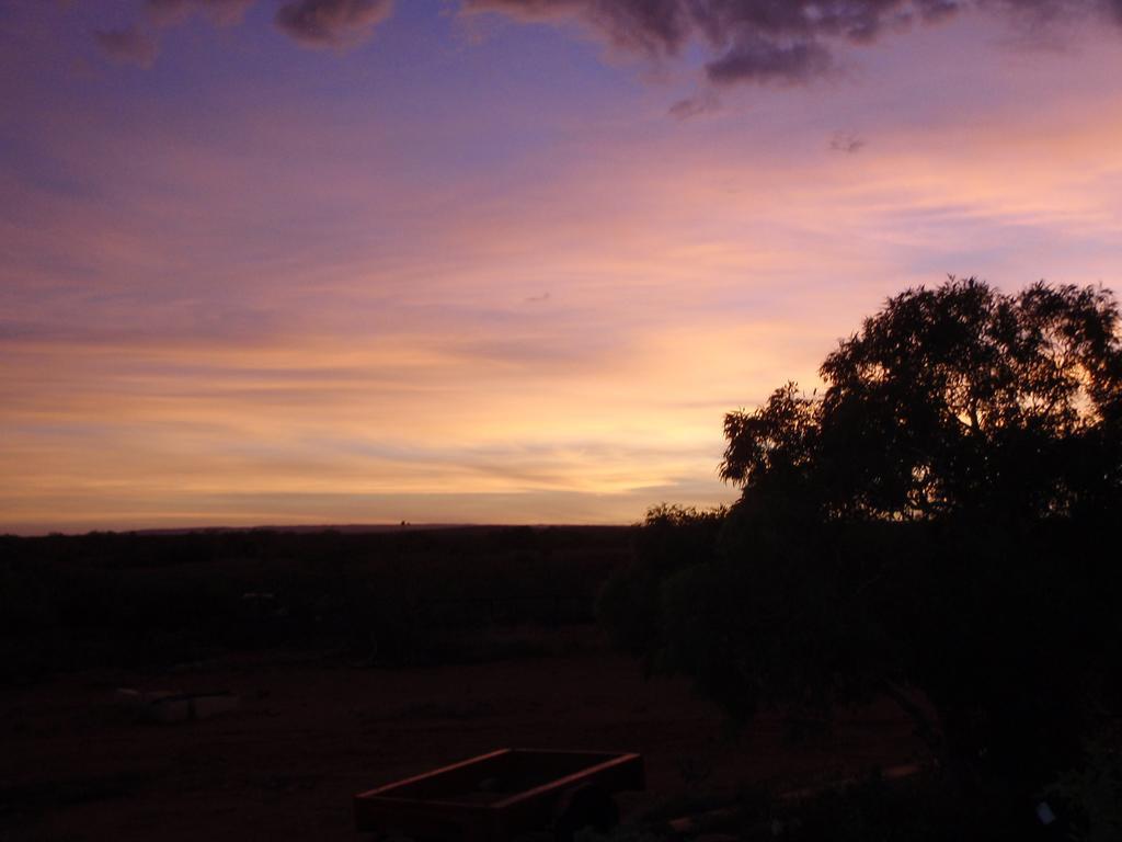 Ningaloo Bed And Breakfastエクスマウス エクステリア 写真