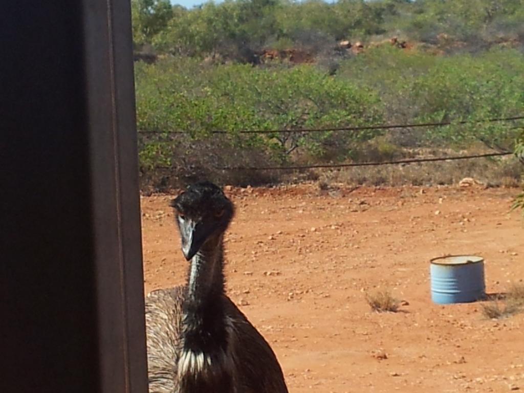 Ningaloo Bed And Breakfastエクスマウス エクステリア 写真