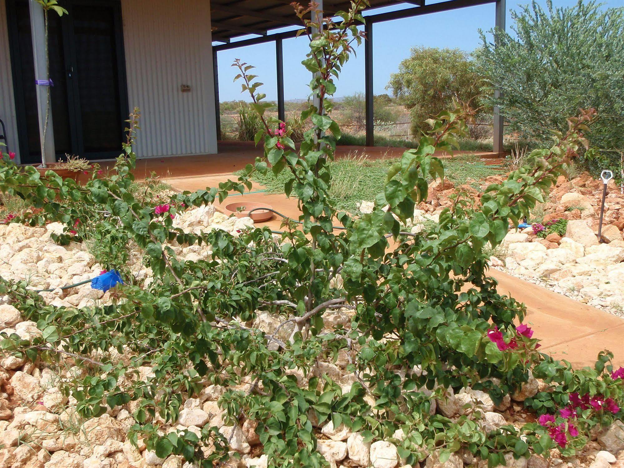 Ningaloo Bed And Breakfastエクスマウス エクステリア 写真